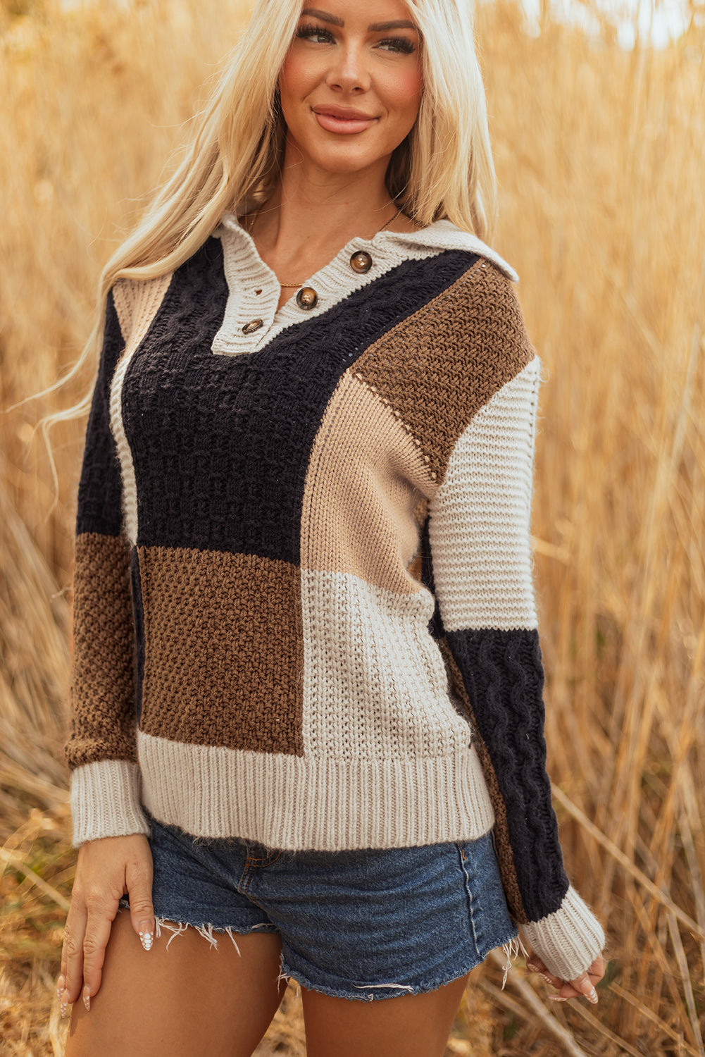 Multicolour Color Block Cable Knit Sleeve Buttons Collared Sweater